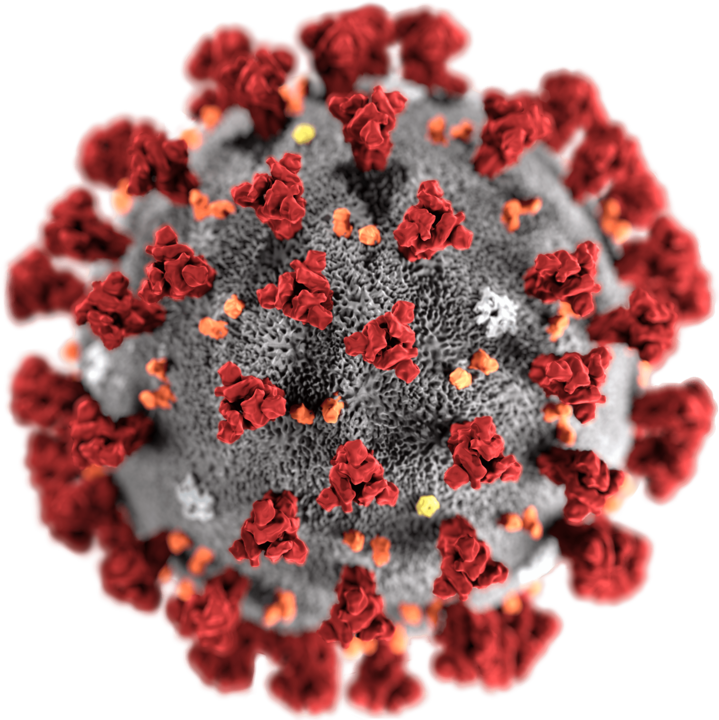 Coronavirus image
