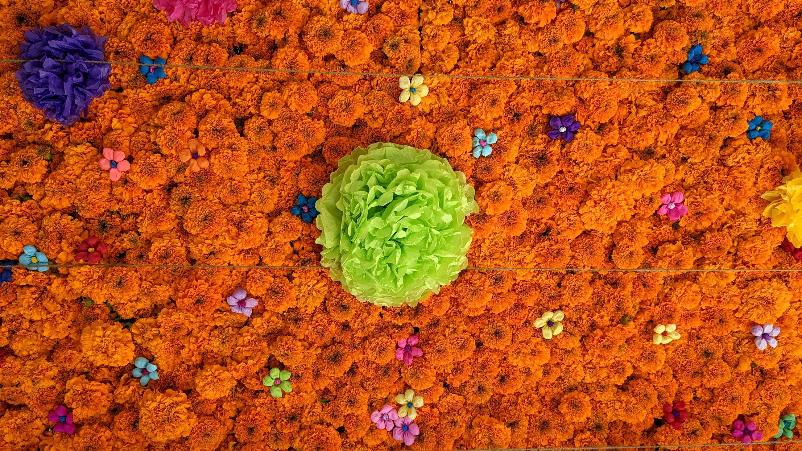 PXL_20211029_184036217