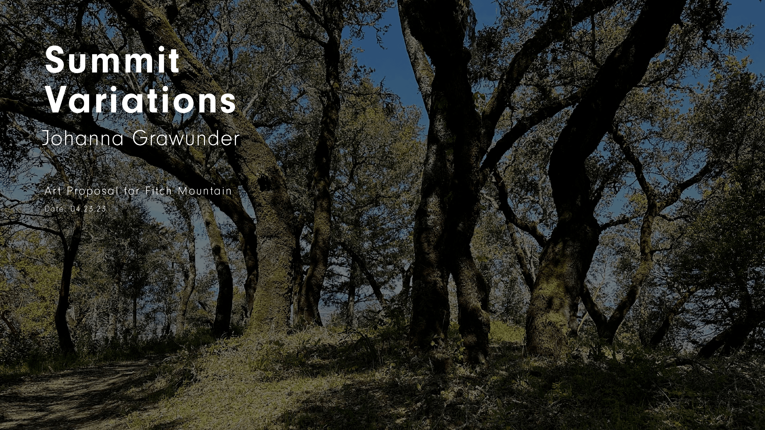 Fitch Mountain Art Installation Proposal - Summit Variations