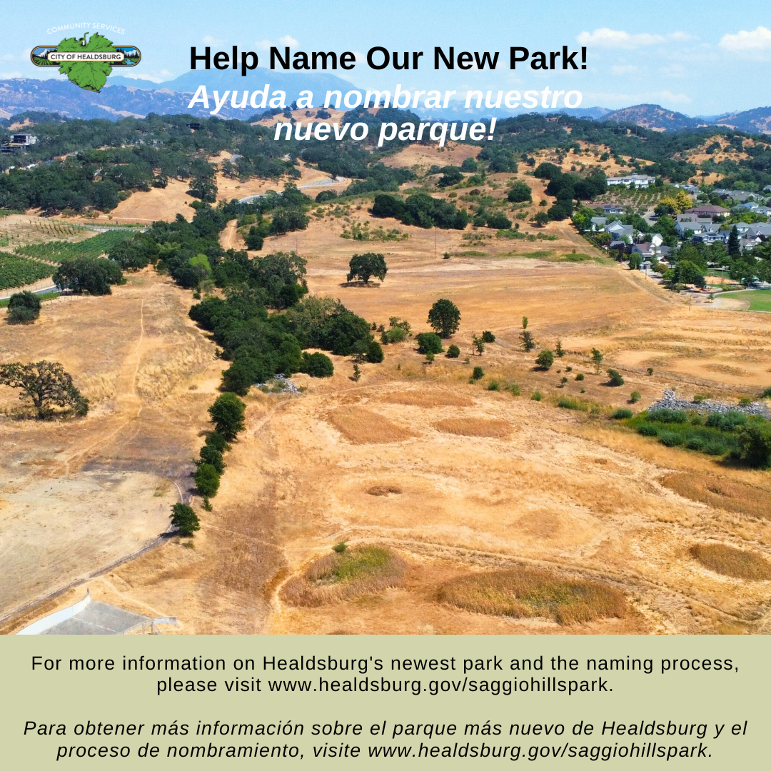 _Saggio Hills Naming Social Media 