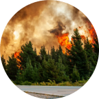 Wildfire Icon