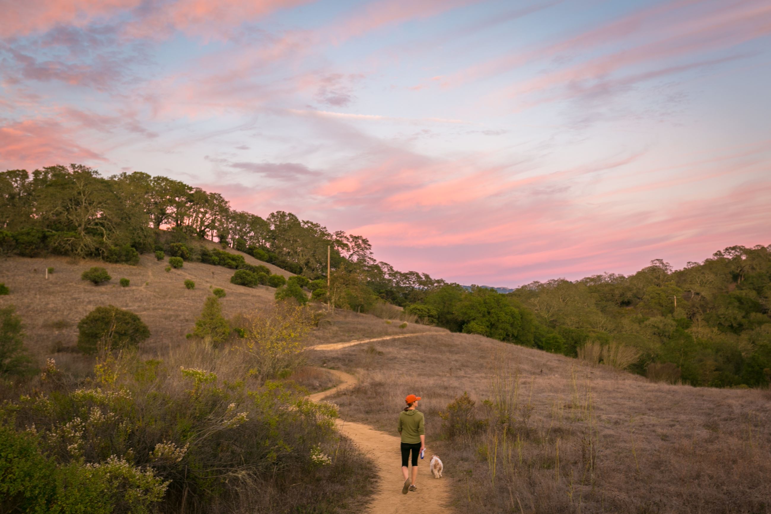 Healdsburg Ridge Open Space Preserve